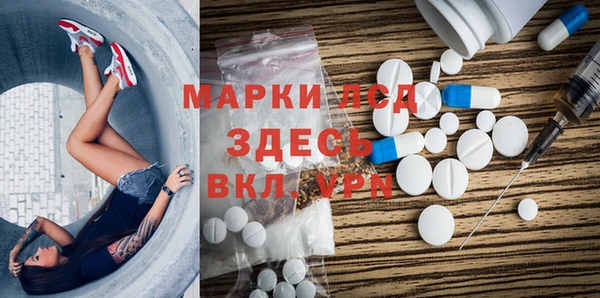мет Алексин