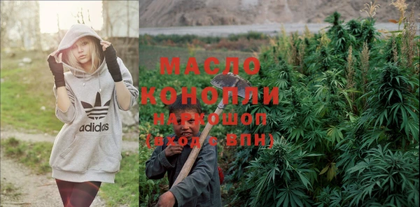 мет Алексин