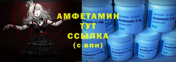 мет Алексин
