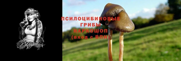 мет Алексин
