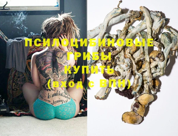 круглые Алексеевка