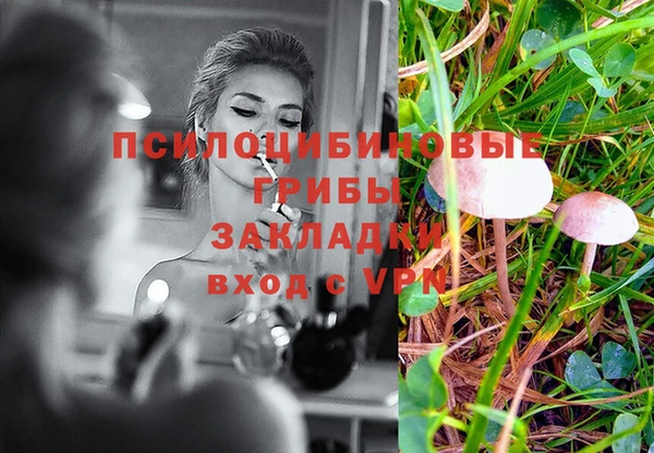 круглые Алексеевка