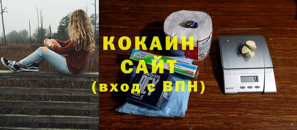 мет Алексин