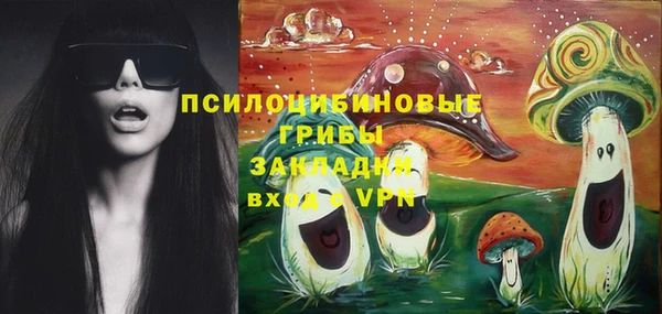 мет Алексин