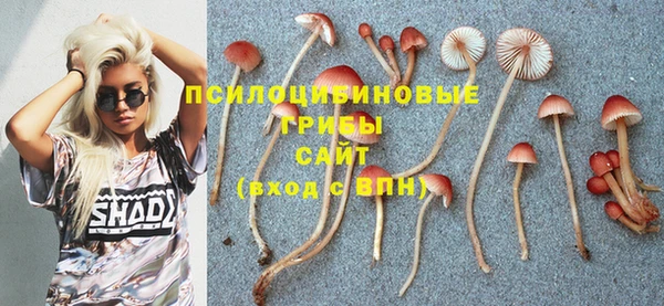 мет Алексин