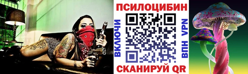 Псилоцибиновые грибы Psilocybine cubensis  Липки 